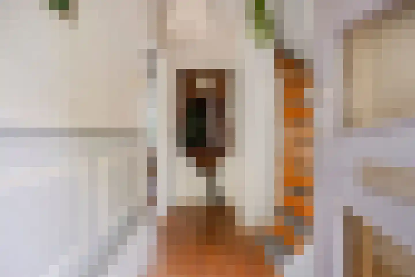 Larixstraat 40 Zwolle thumbnail 15