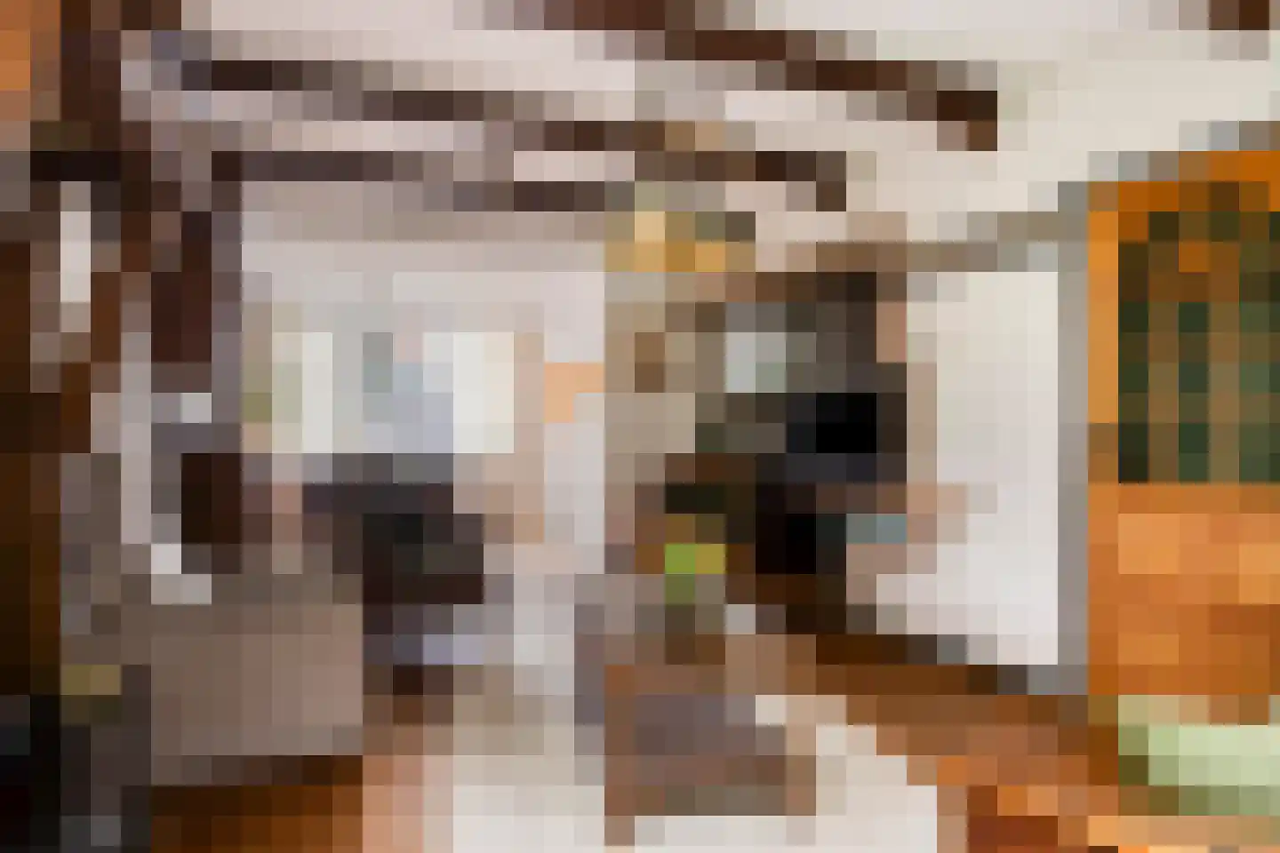 Larixstraat 40 Zwolle thumbnail 5