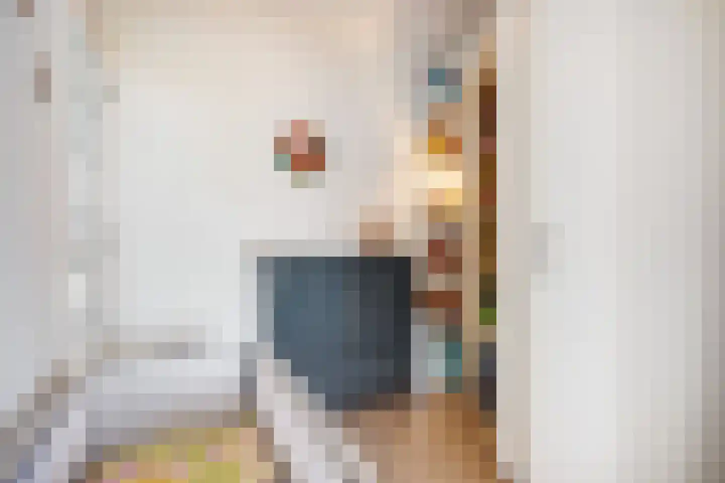 Larixstraat 5 Den Haag thumbnail 19