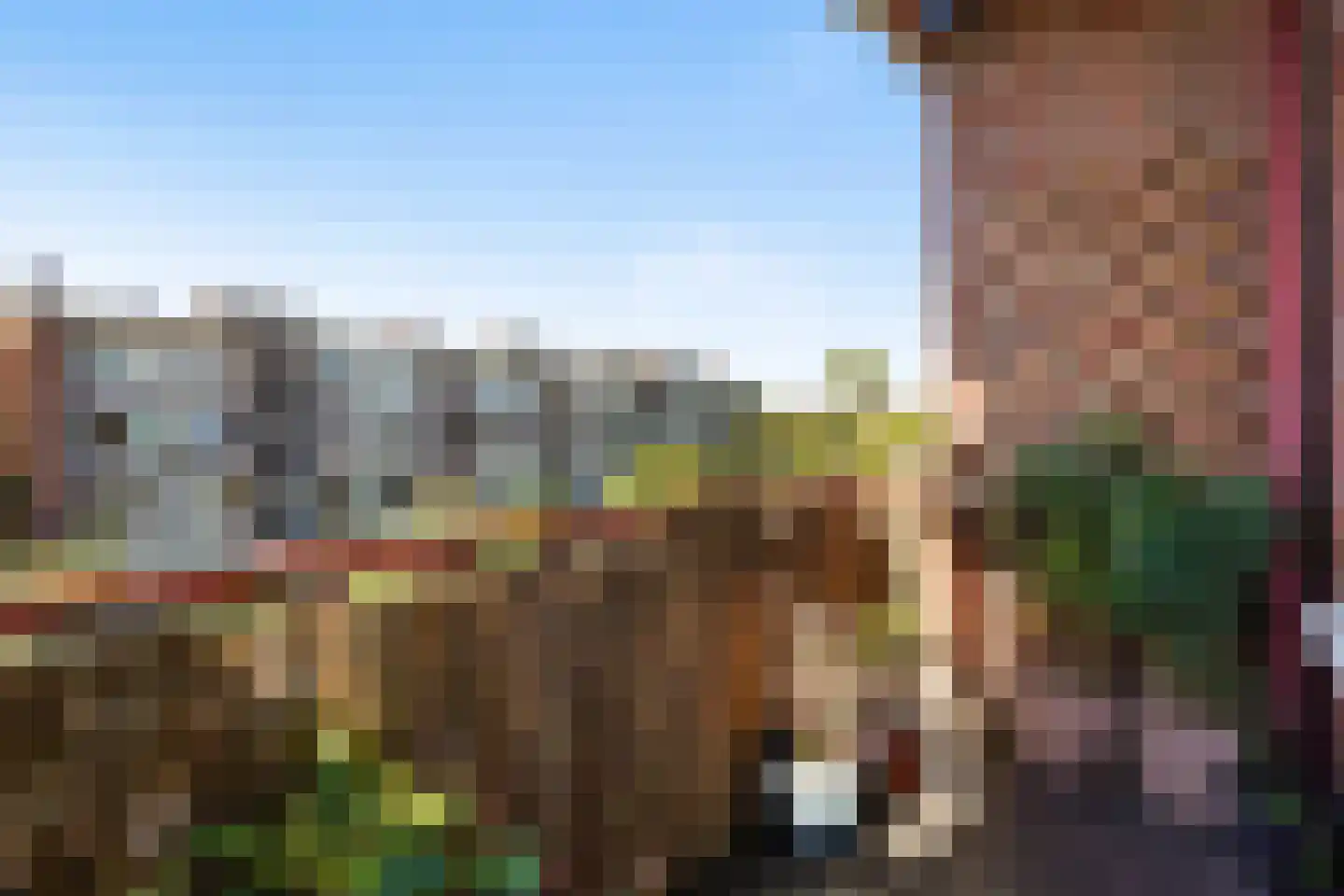Larixstraat 5 Den Haag thumbnail 5