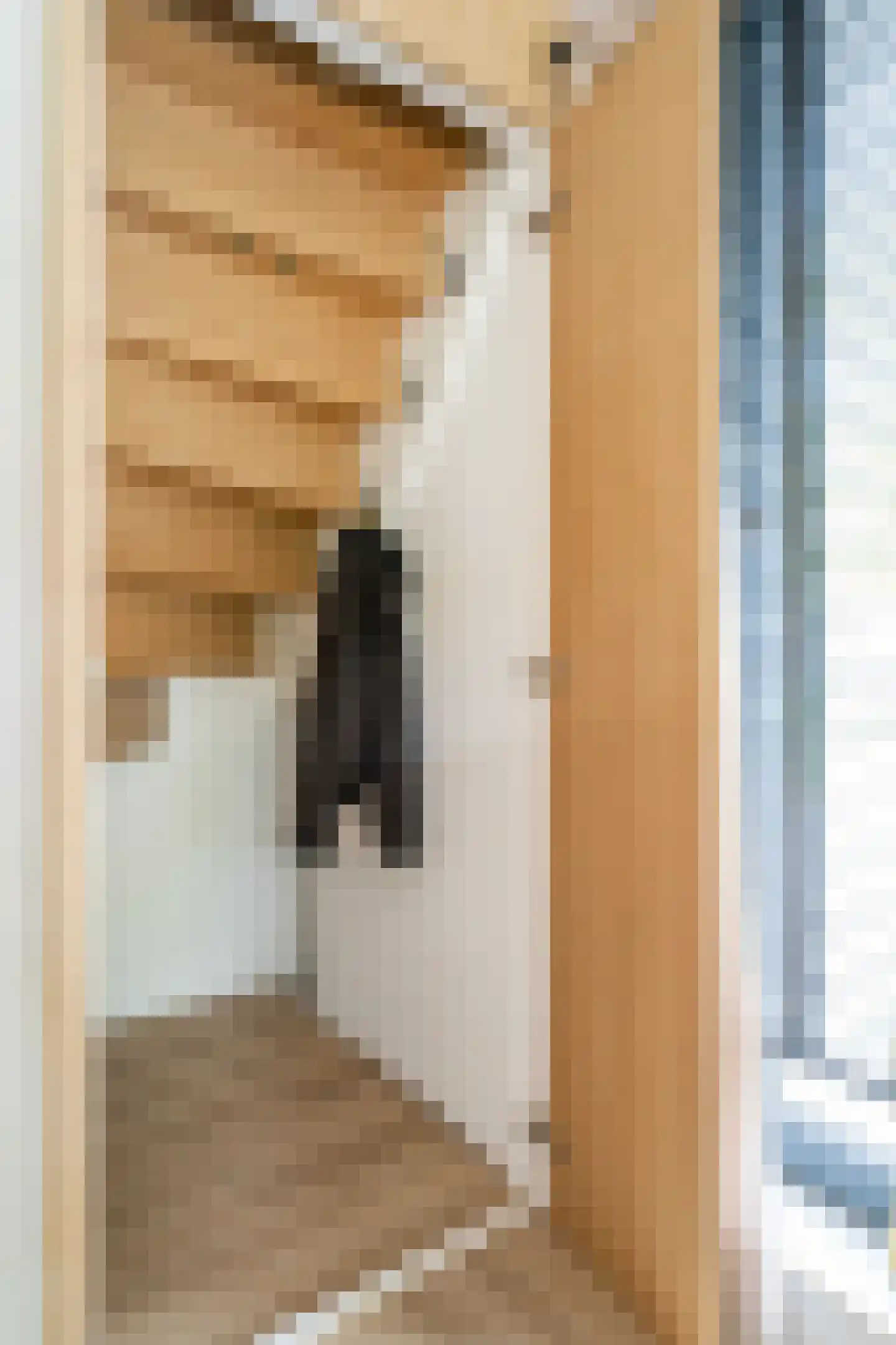 Larixstraat 51 Amersfoort thumbnail 10