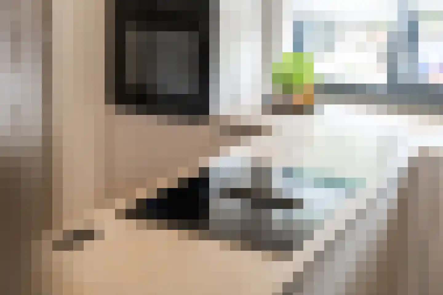 Larixstraat 51 Amersfoort thumbnail 16