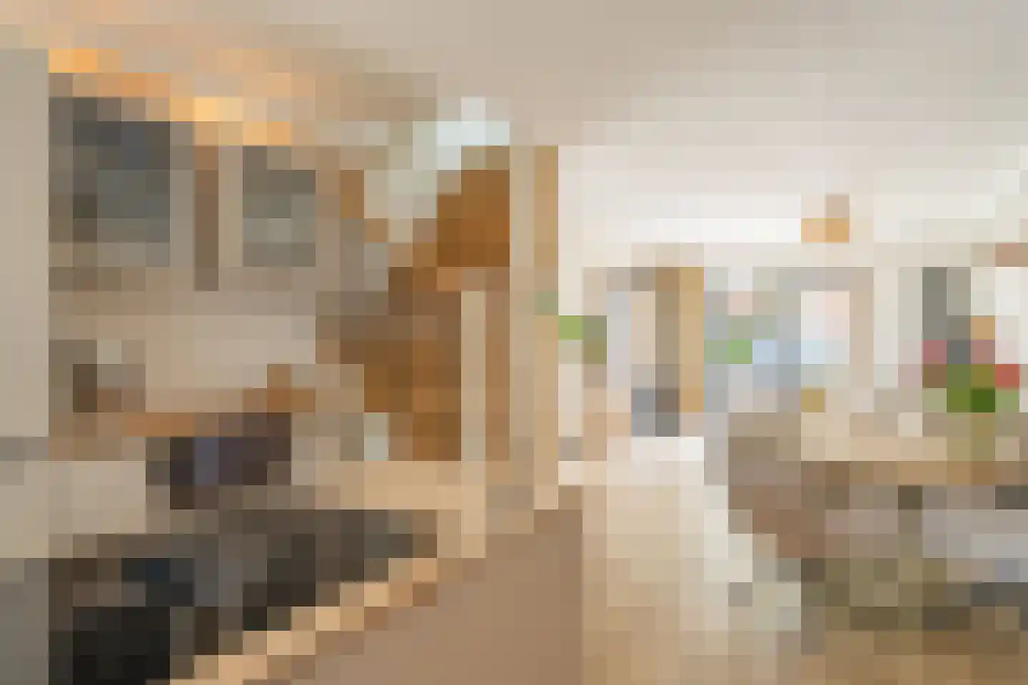Larixstraat 51 Amersfoort thumbnail 17