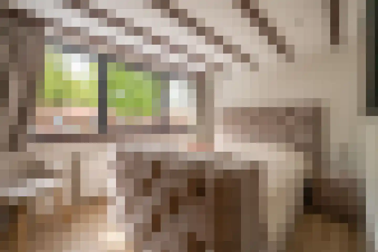 Larixstraat 51 Amersfoort thumbnail 21