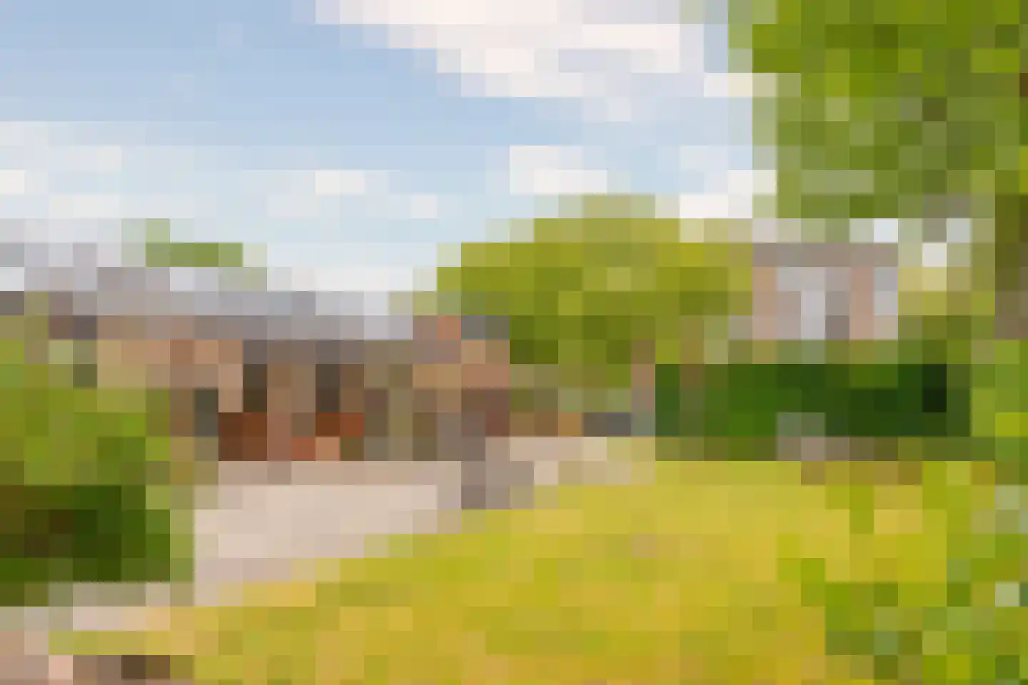 Larixstraat 51 Amersfoort thumbnail 27