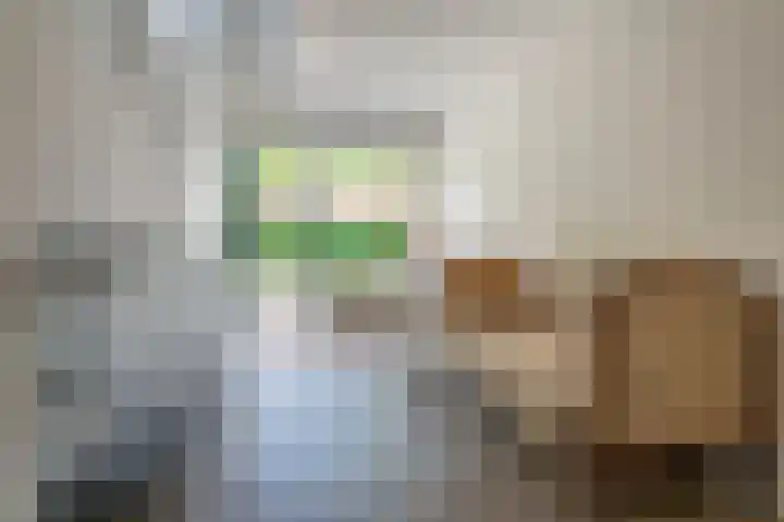 Larixstraat 53 Amersfoort thumbnail 4