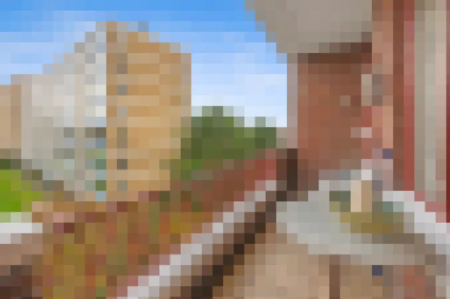 Larixstraat 53 Den Haag thumbnail 33