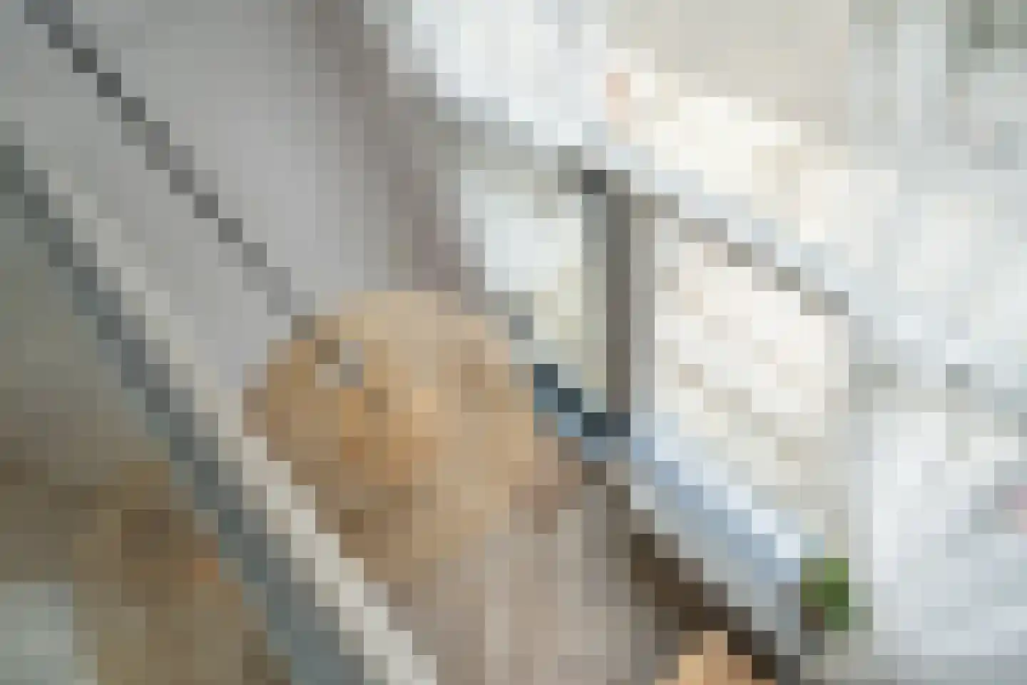 Larixstraat 57 Amersfoort thumbnail 4