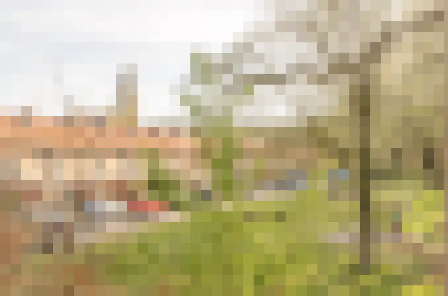 Larixstraat 61 Amersfoort thumbnail 13