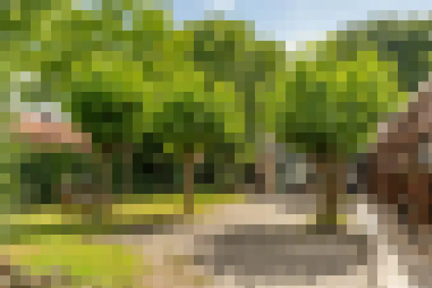 Larixstraat 61 Amersfoort thumbnail 26