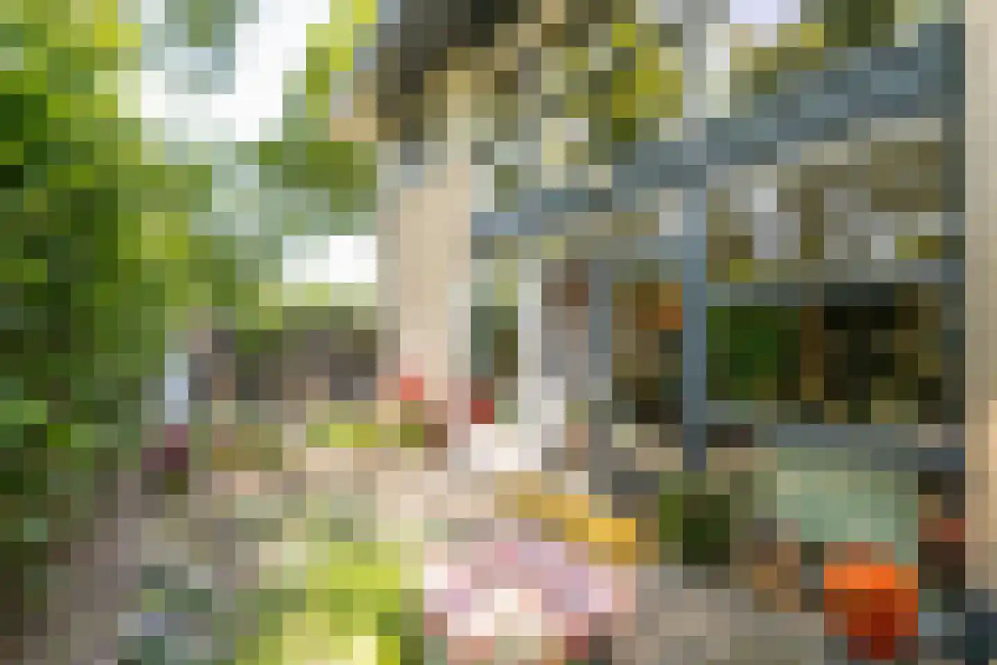 Larixstraat 68 Amersfoort thumbnail 5