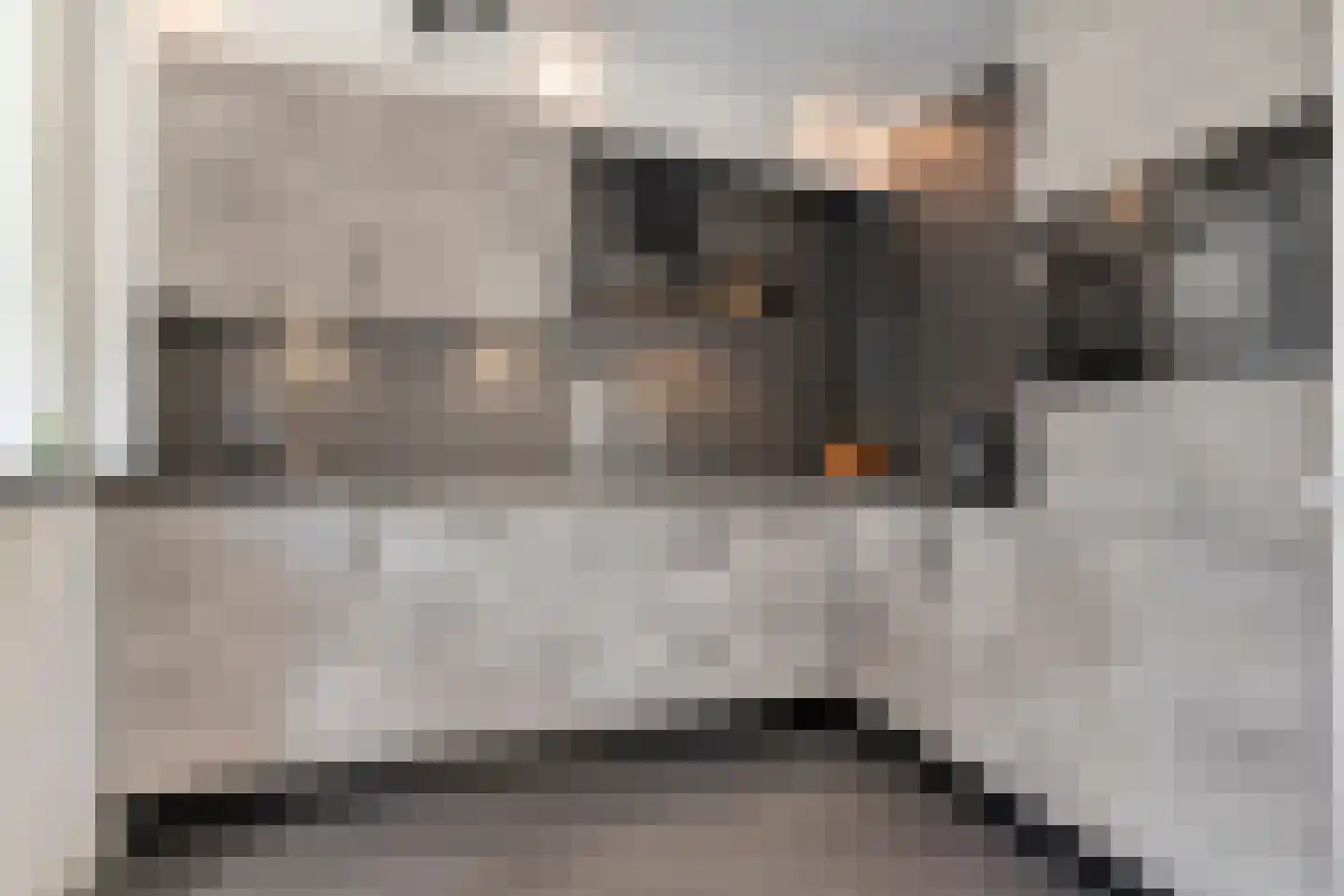 Larixstraat 7 Zwolle thumbnail 15