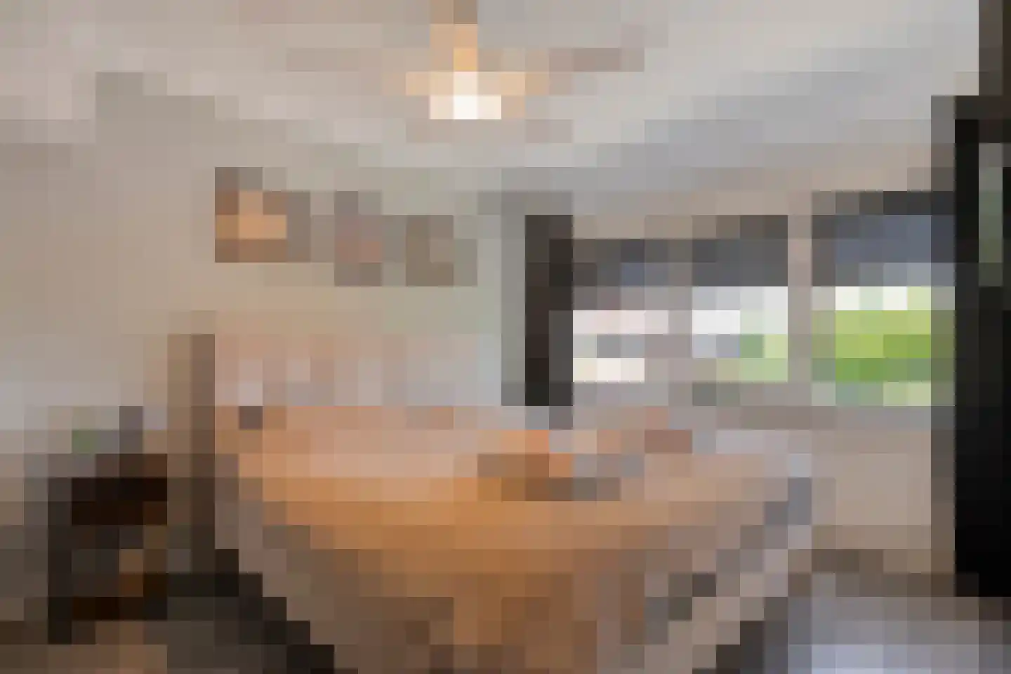 Larixstraat 7 Zwolle thumbnail 21