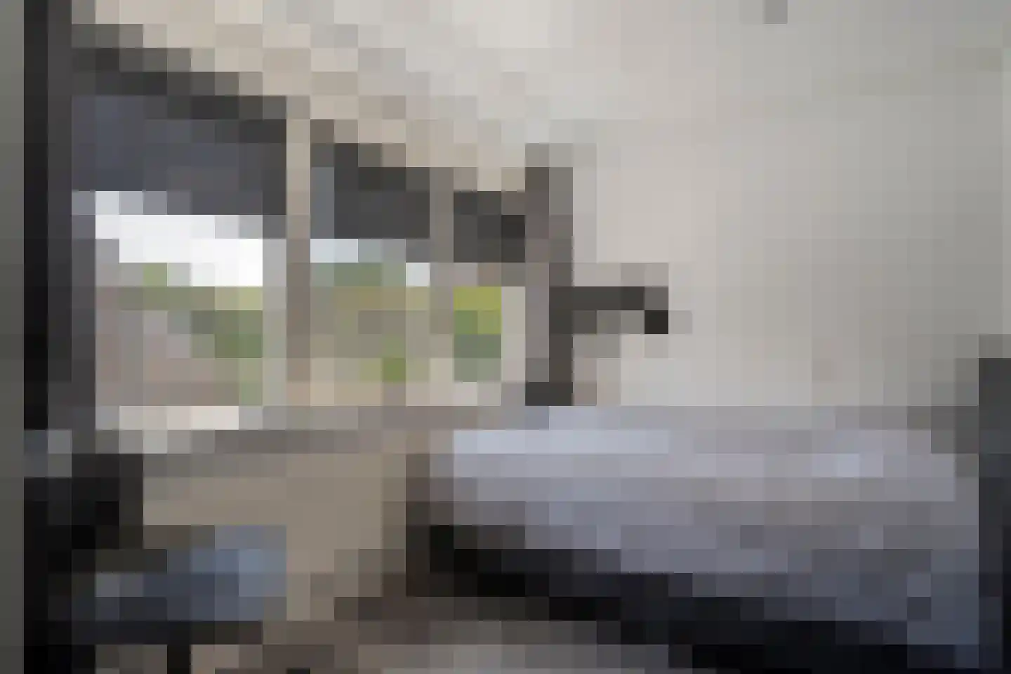 Larixstraat 7 Zwolle thumbnail 23