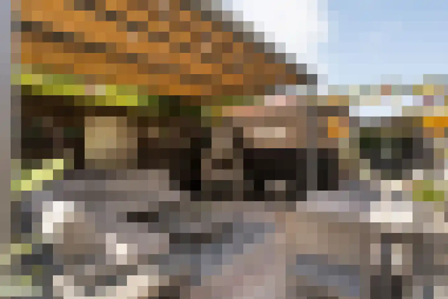 Larixstraat 7 Zwolle thumbnail 30