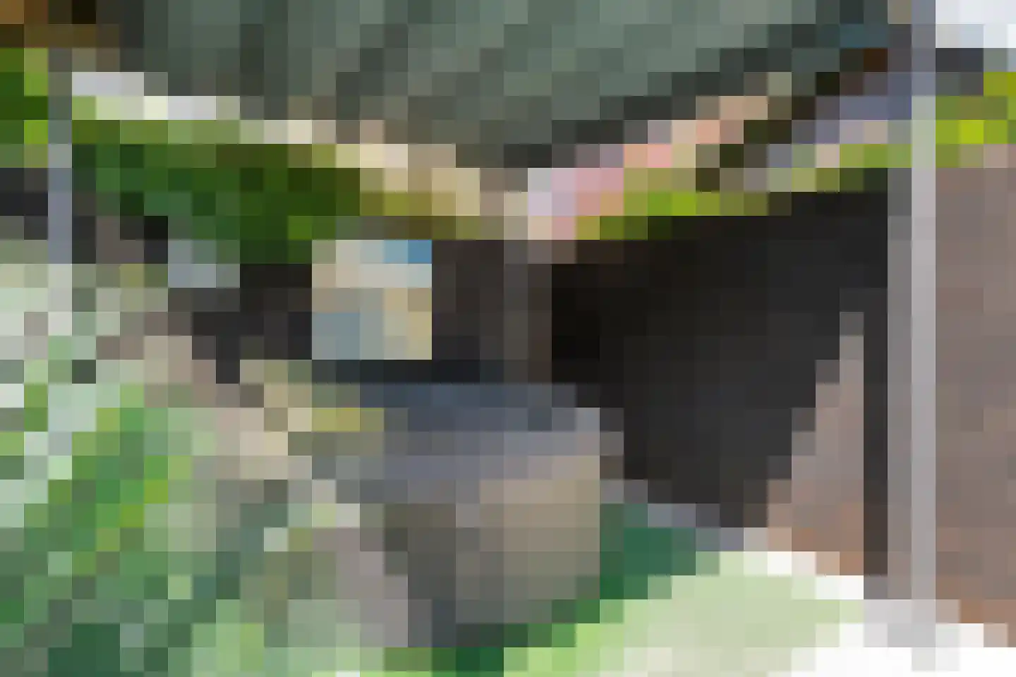 Larixstraat 7 Zwolle thumbnail 37
