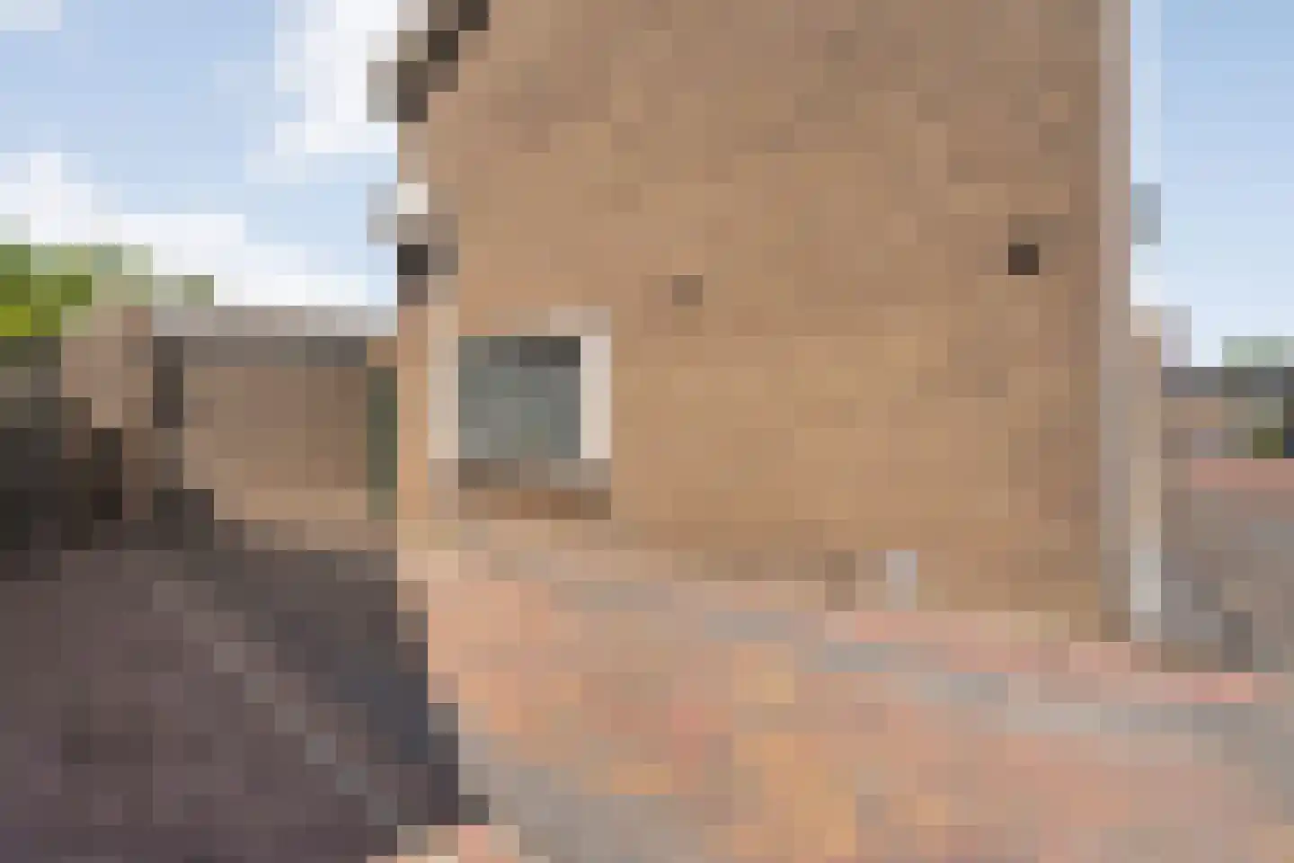 Larixstraat 7 Zwolle thumbnail 42
