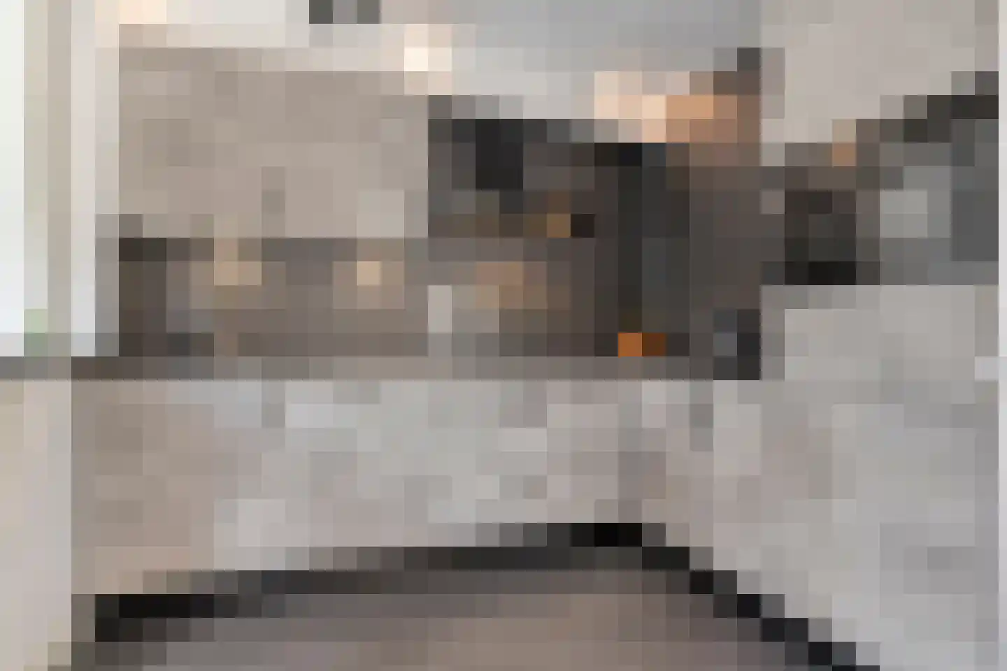 Larixstraat 7 Zwolle thumbnail 9