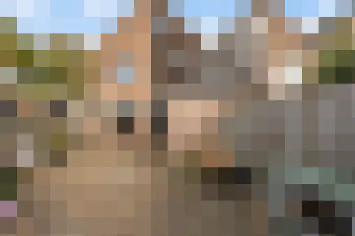 Larixweg 18 't Harde thumbnail 34