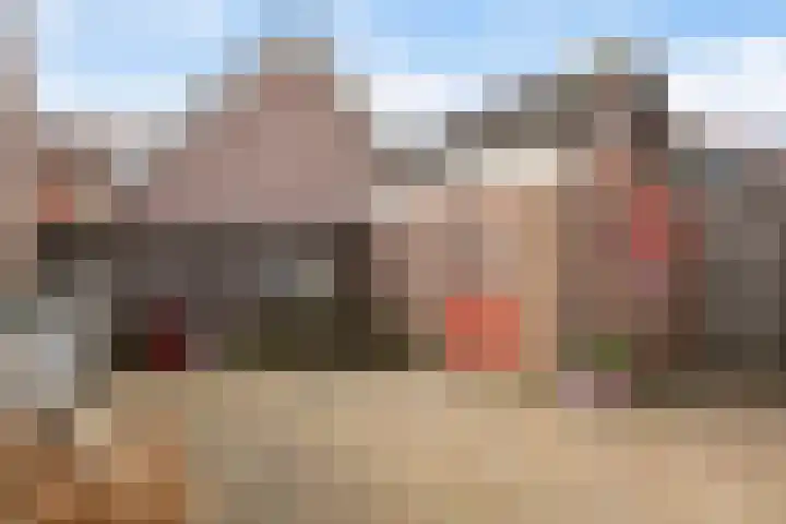 Larixweg 18 't Harde thumbnail 35