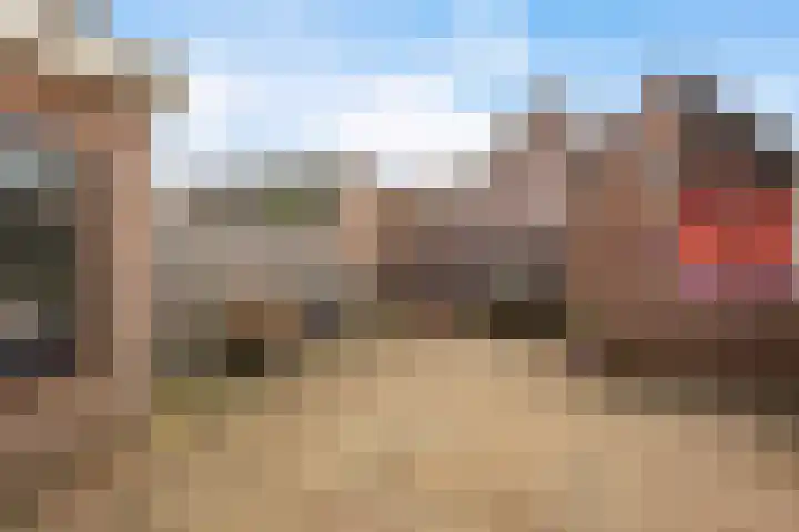 Larixweg 18 't Harde thumbnail 37