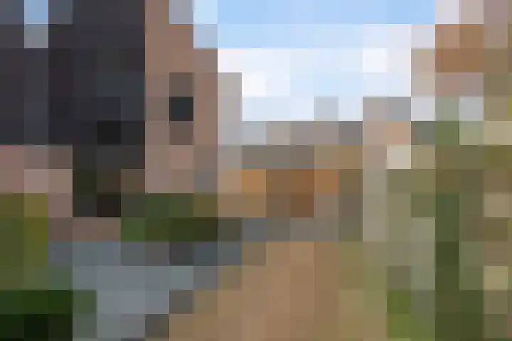 Larixweg 18 't Harde thumbnail 40