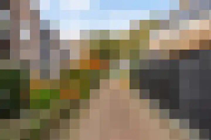 Larixweg 18 't Harde thumbnail 44