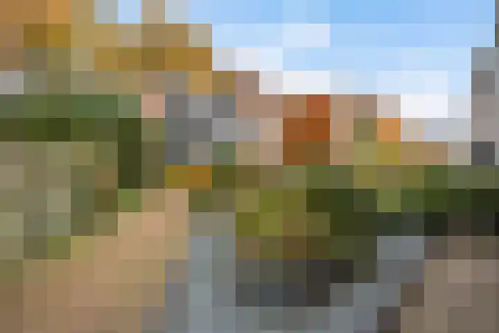 Larixweg 18 't Harde thumbnail 48