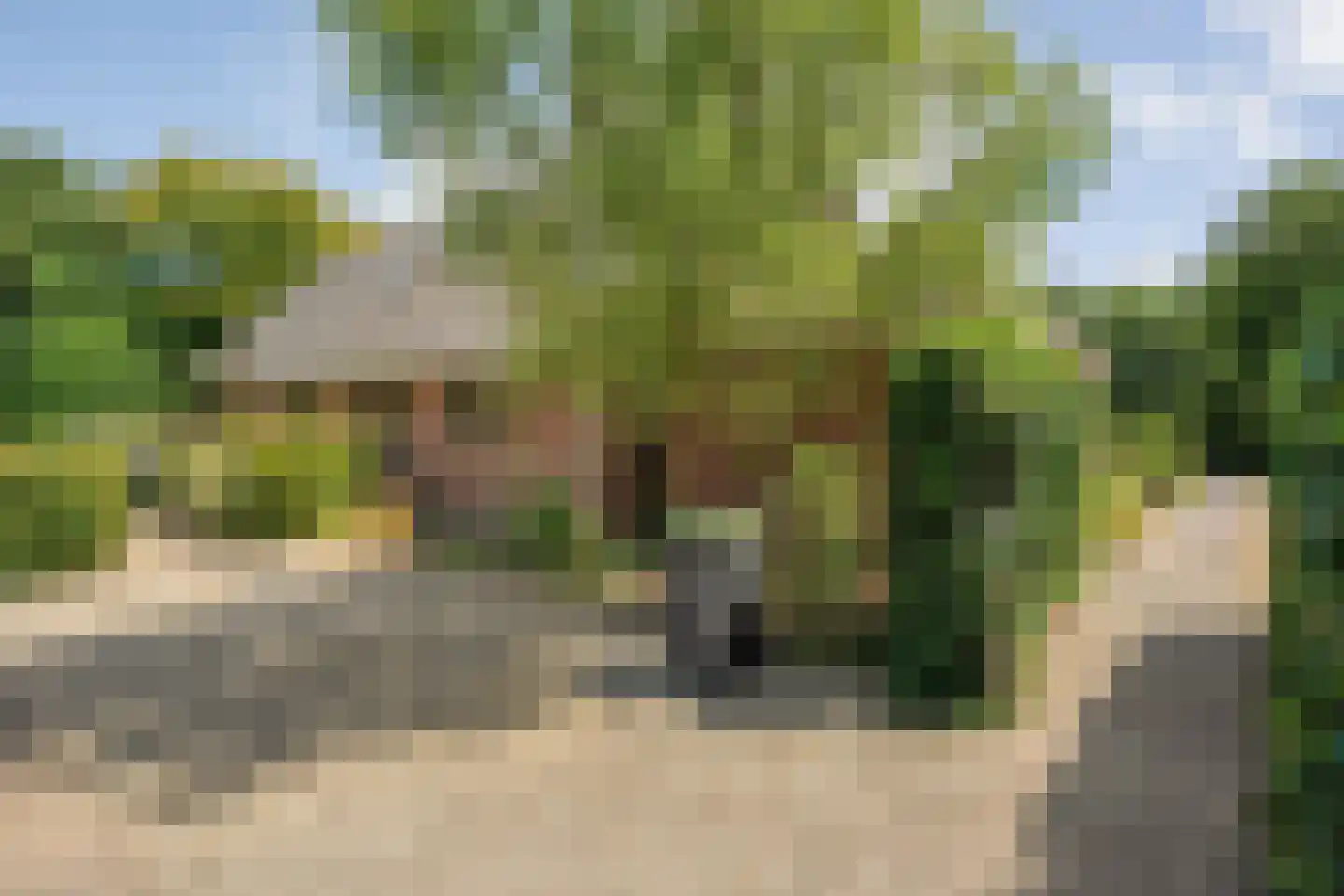 Larixweg 6 Rheezerveen thumbnail 10