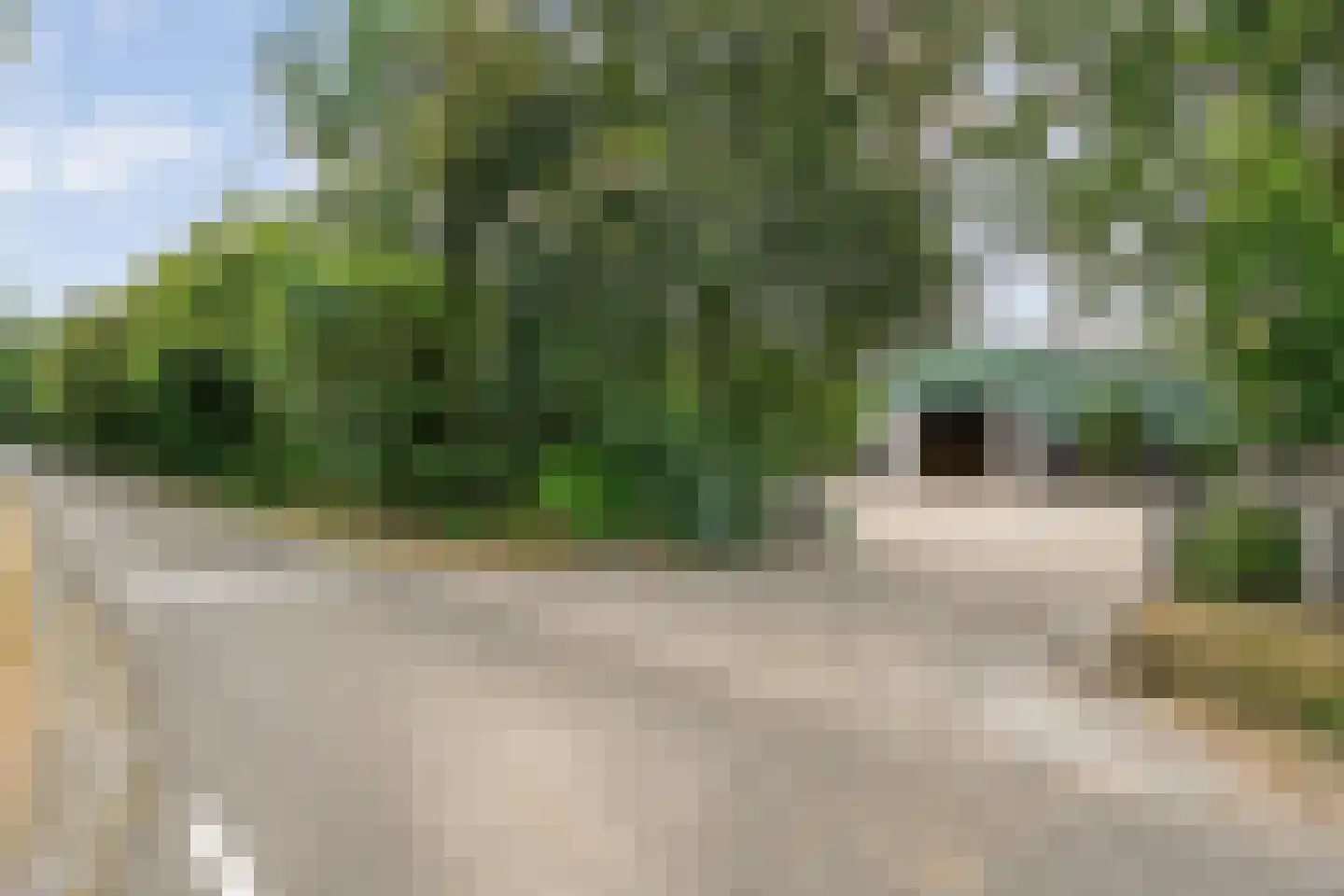 Larixweg 6 Rheezerveen thumbnail 17