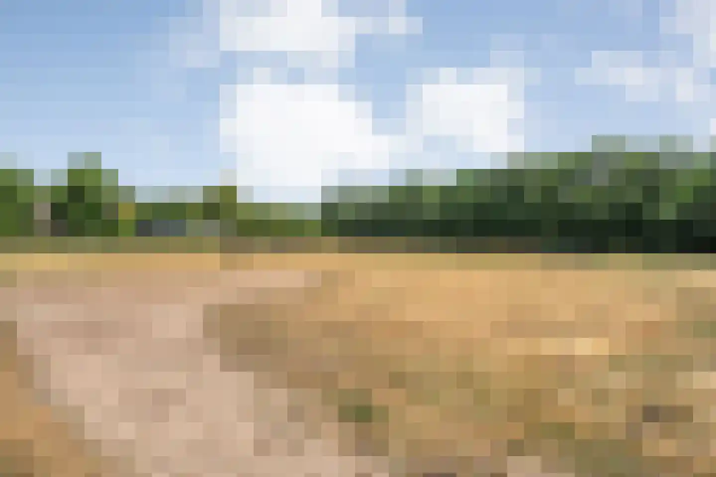Larixweg 6 Rheezerveen thumbnail 30