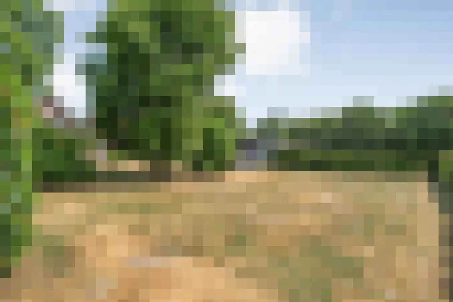 Larixweg 6 Rheezerveen thumbnail 31
