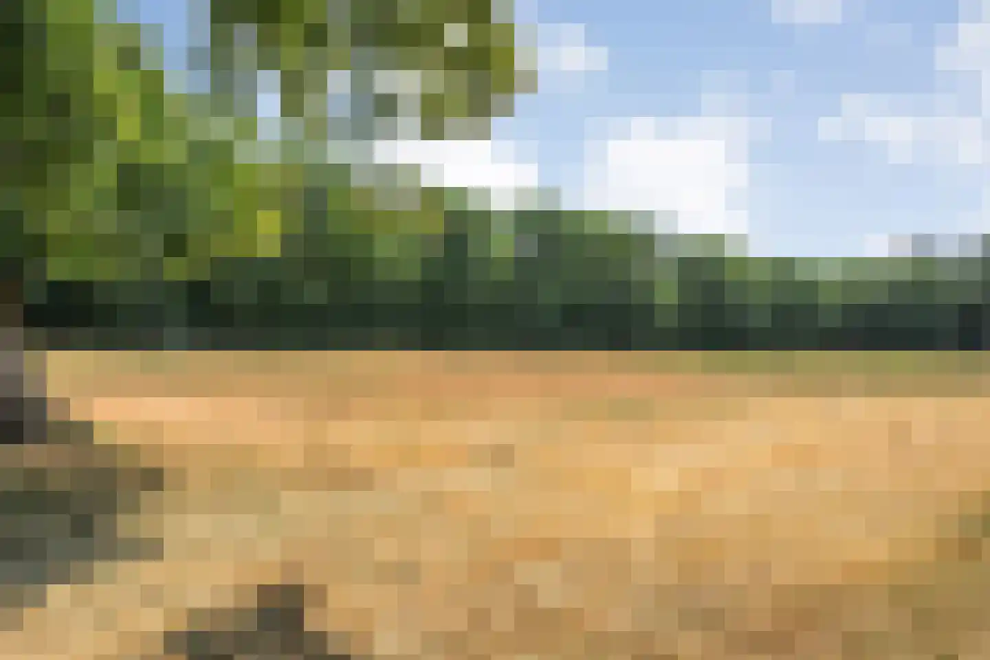 Larixweg 6 Rheezerveen thumbnail 32