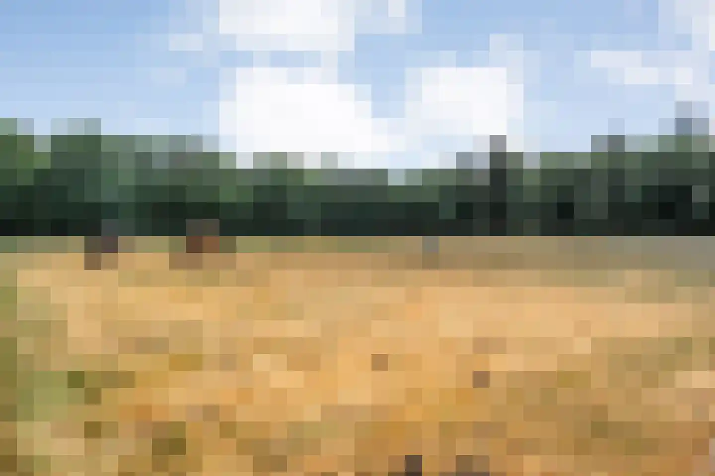 Larixweg 6 Rheezerveen thumbnail 33