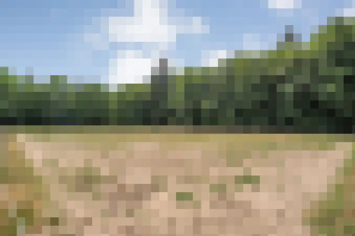 Larixweg 6 Rheezerveen thumbnail 34