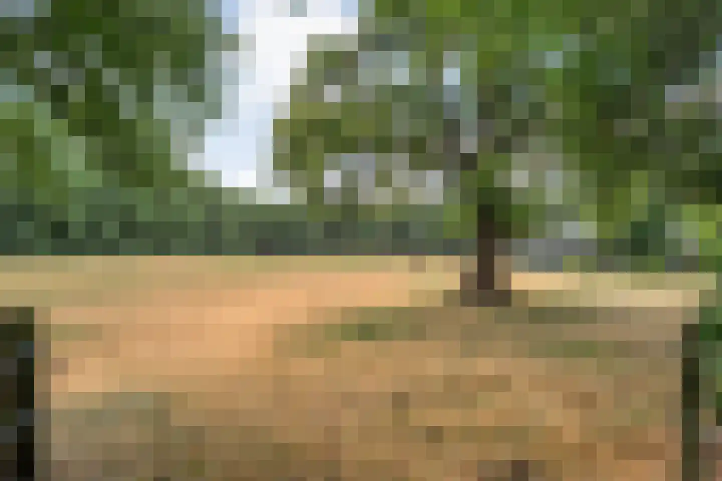 Larixweg 6 Rheezerveen thumbnail 35