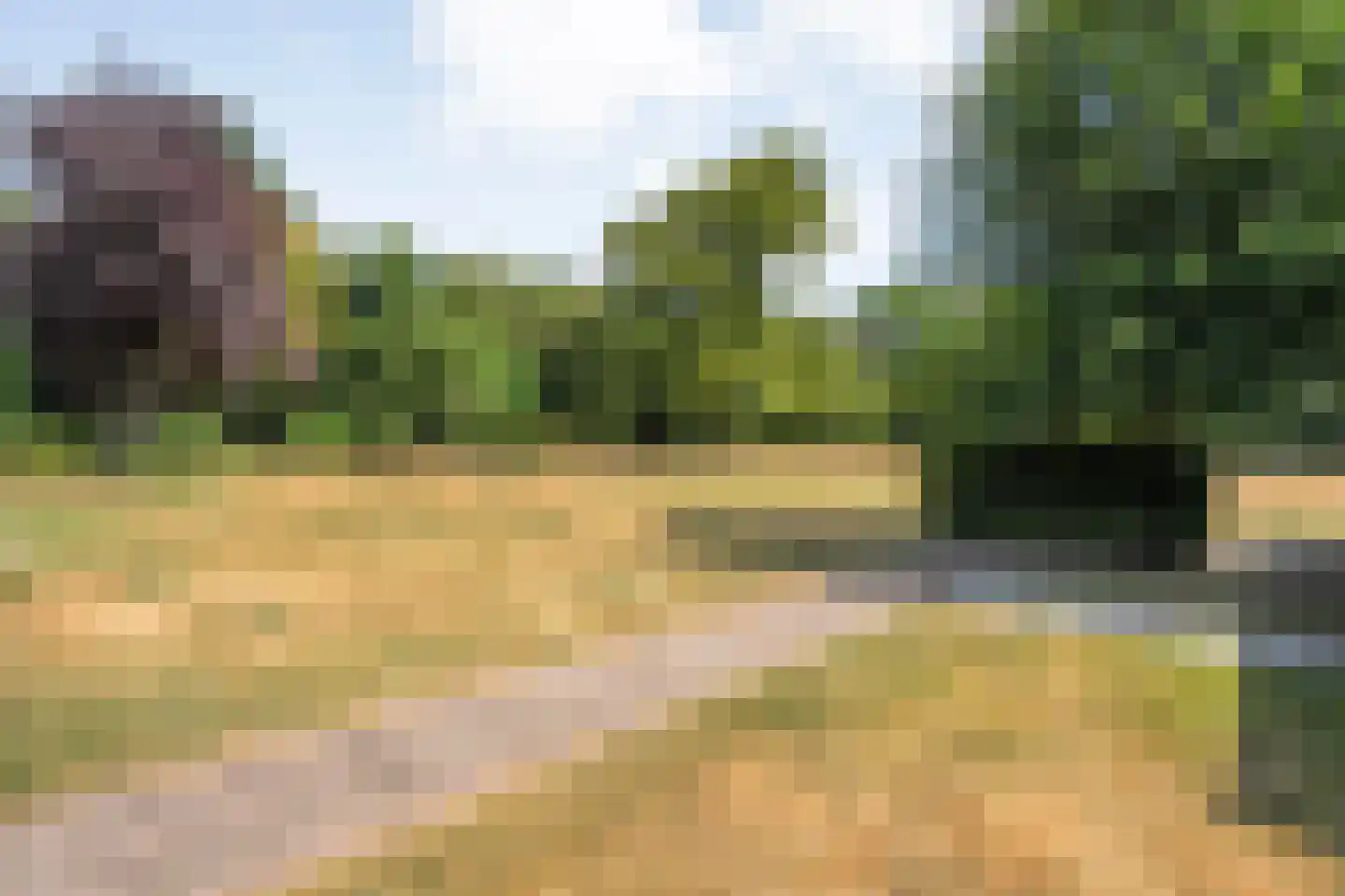 Larixweg 6 Rheezerveen thumbnail 36