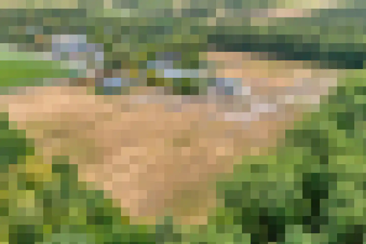 Larixweg 6 Rheezerveen thumbnail 6