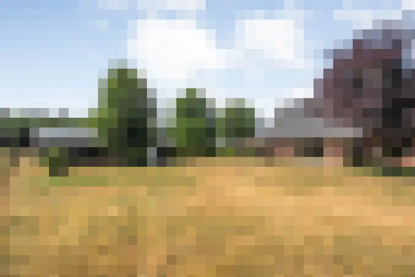 Larixweg 6 Rheezerveen thumbnail 67