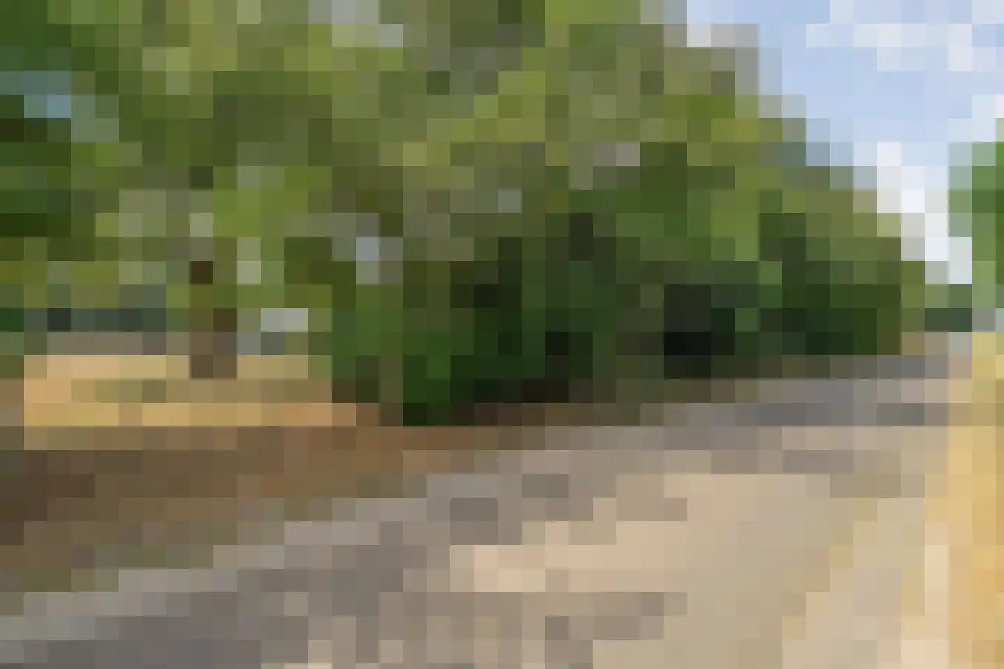 Larixweg 6 Rheezerveen thumbnail 68