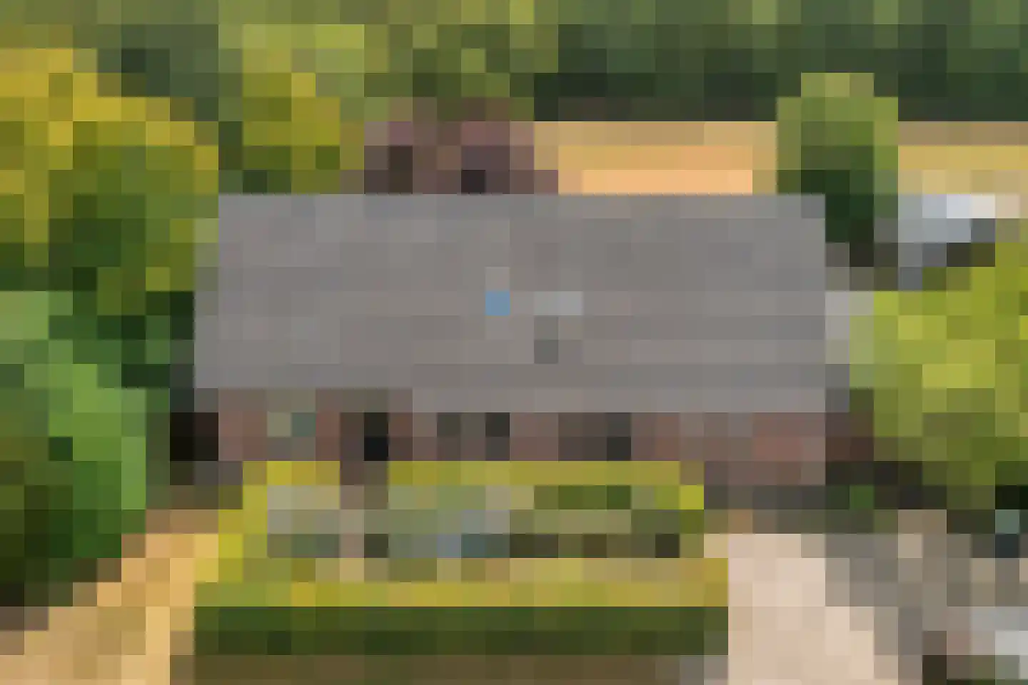 Larixweg 6 Rheezerveen thumbnail 69