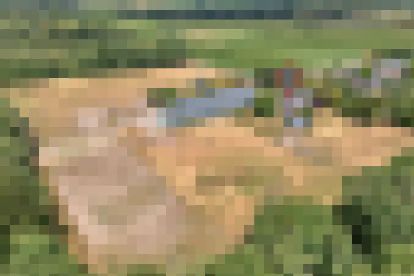 Larixweg 6 Rheezerveen thumbnail 7