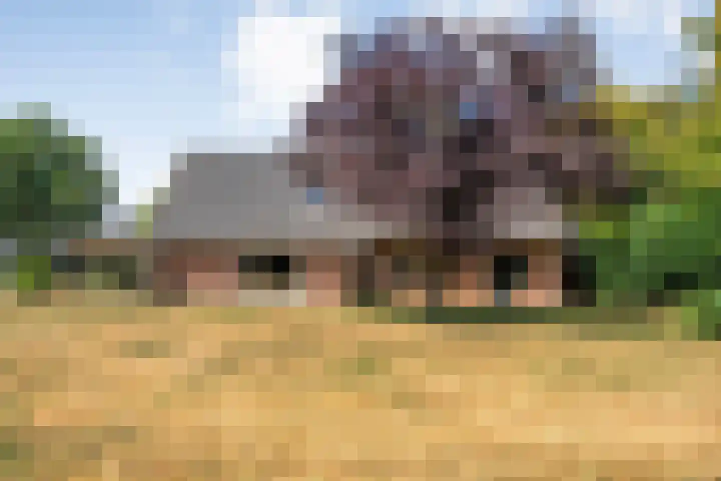 Larixweg 6 Rheezerveen thumbnail 70