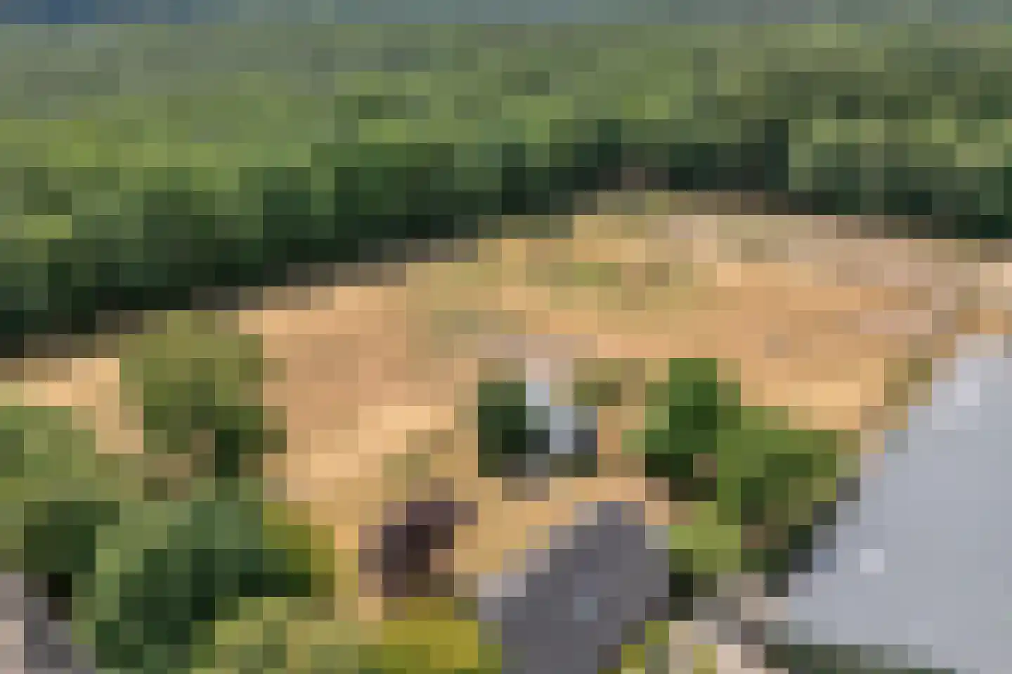Larixweg 6 Rheezerveen thumbnail 8