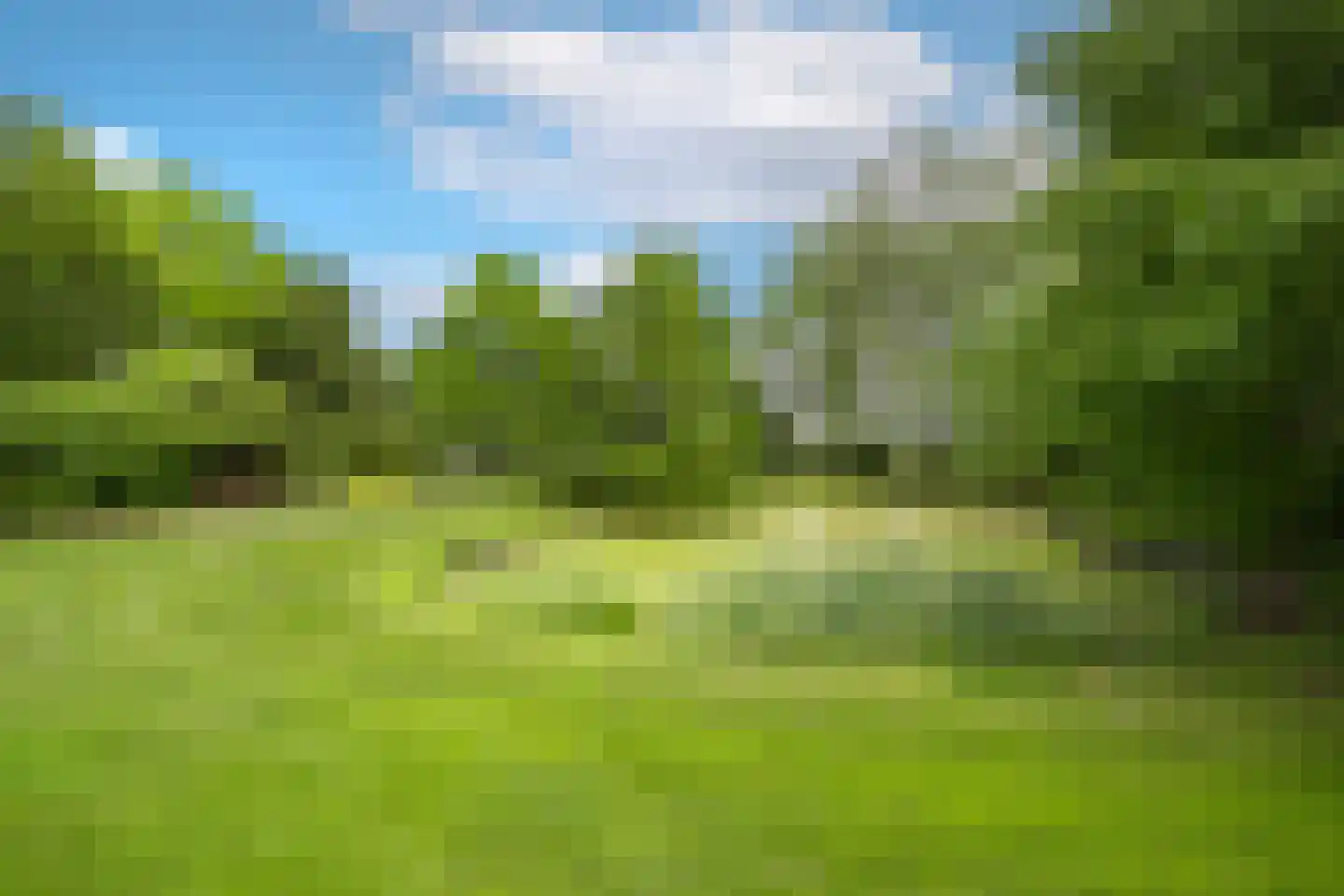 Larixweg 8 Rheezerveen thumbnail 107