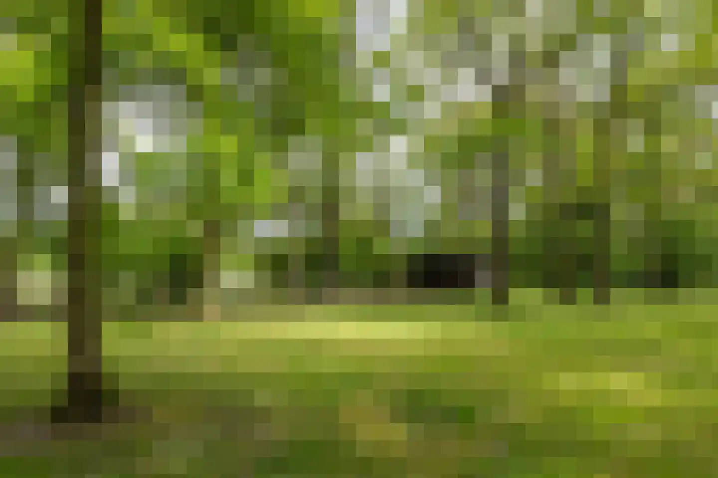 Larixweg 8 Rheezerveen thumbnail 110