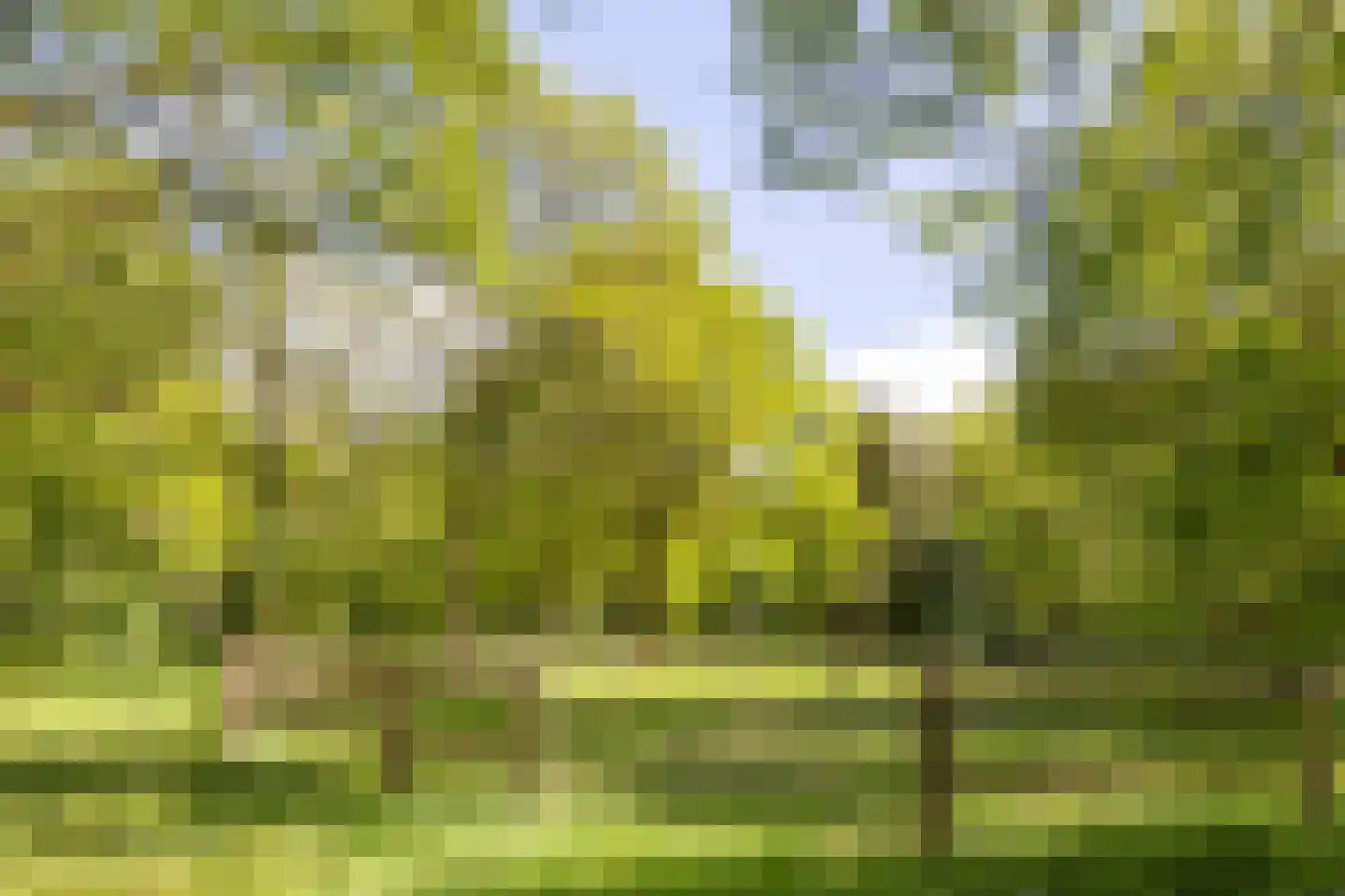Larixweg 8 Rheezerveen thumbnail 111
