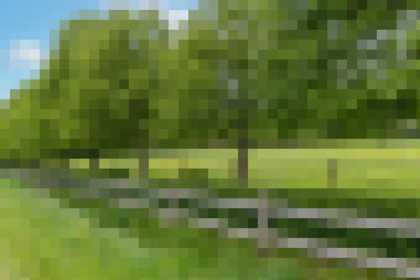 Larixweg 8 Rheezerveen thumbnail 112
