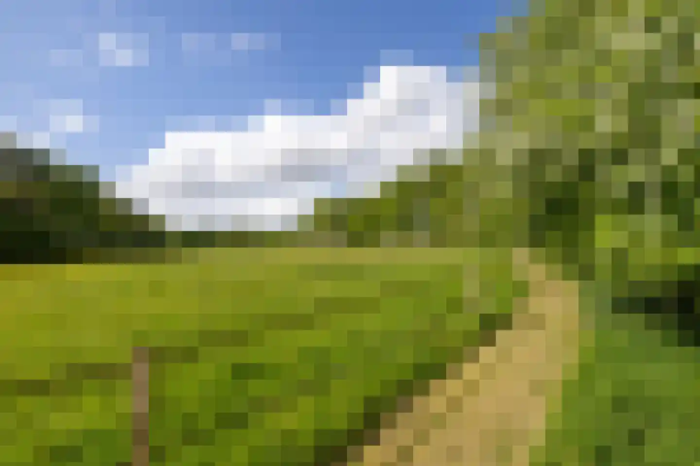 Larixweg 8 Rheezerveen thumbnail 113