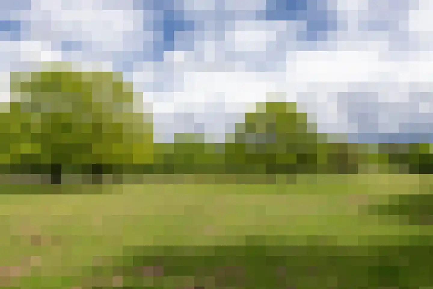 Larixweg 8 Rheezerveen thumbnail 114